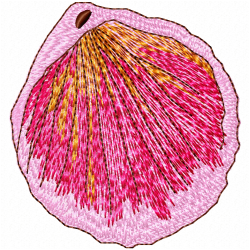 Seashell Embroidery Design 2 Seashell Embroidery Design 2